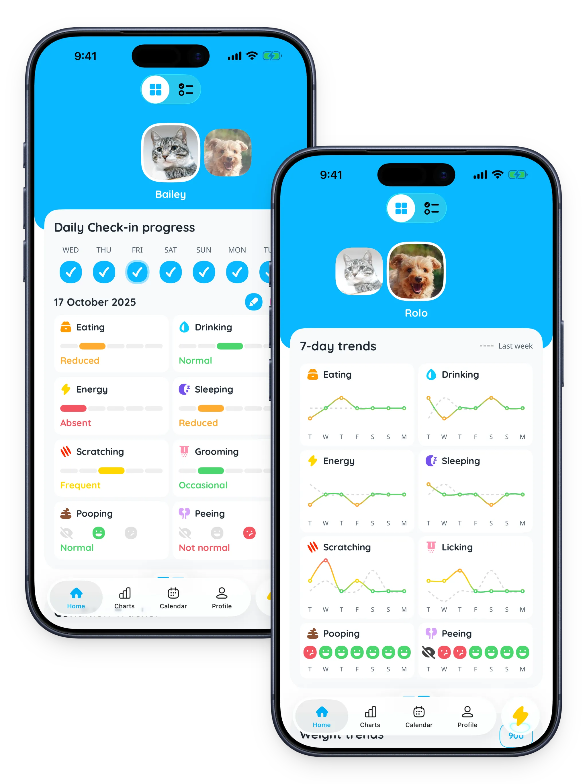 Petfetti daily check-in screen summarizing pet wellbeing